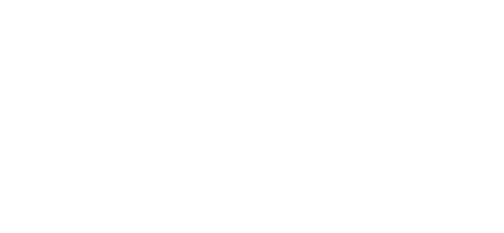 IV.png